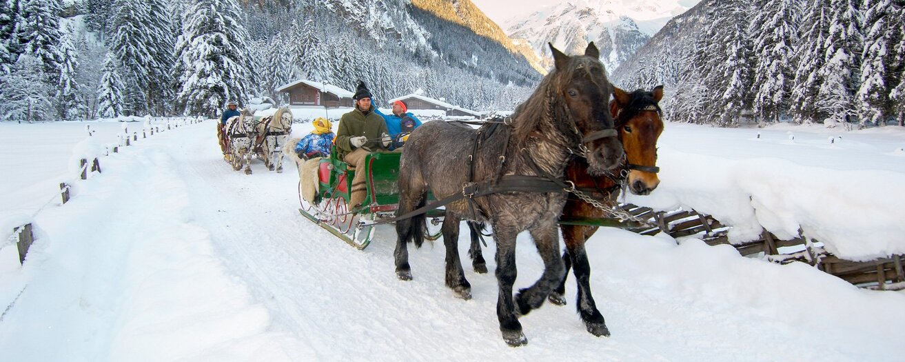 Pferdeschlittenfahrt___winter_
